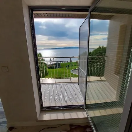 Art Complex Anel סוזופול