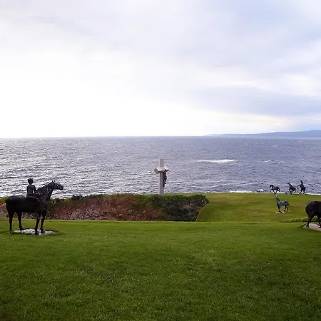 מלון Art Complex Anel סוזופול