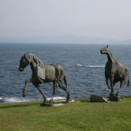 Art Complex Anel סוזופול