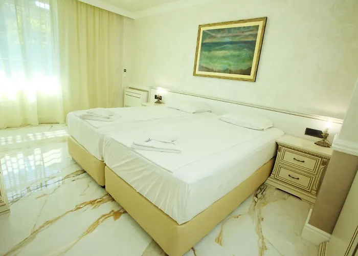 Art Complex Anel 3* 索佐波尔