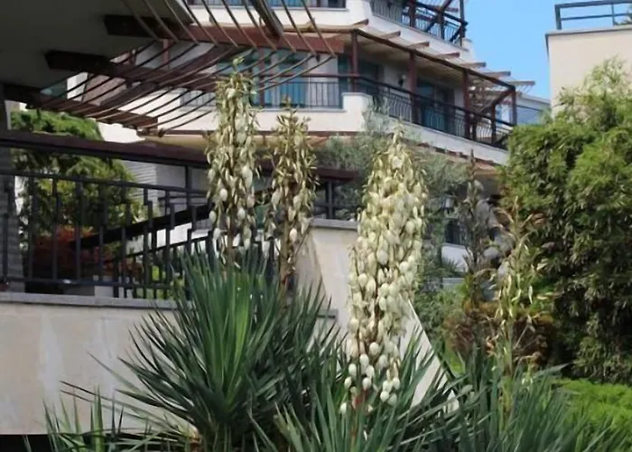 Art Complex Anel 3* 索佐波尔