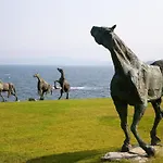 Art Complex Anel