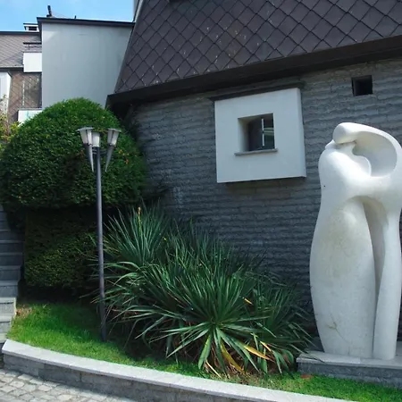 Hotel Art Complex Anel