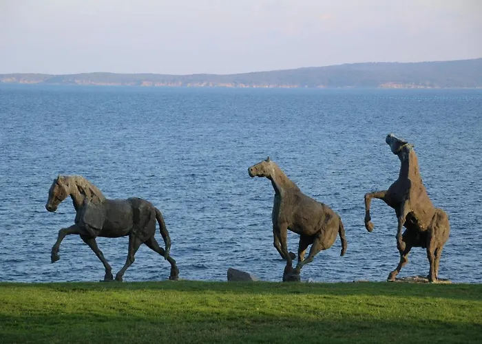 Отель Art Complex Anel Созополь