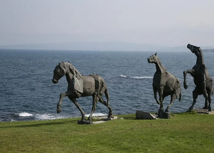 Art Complex Anel Созополь